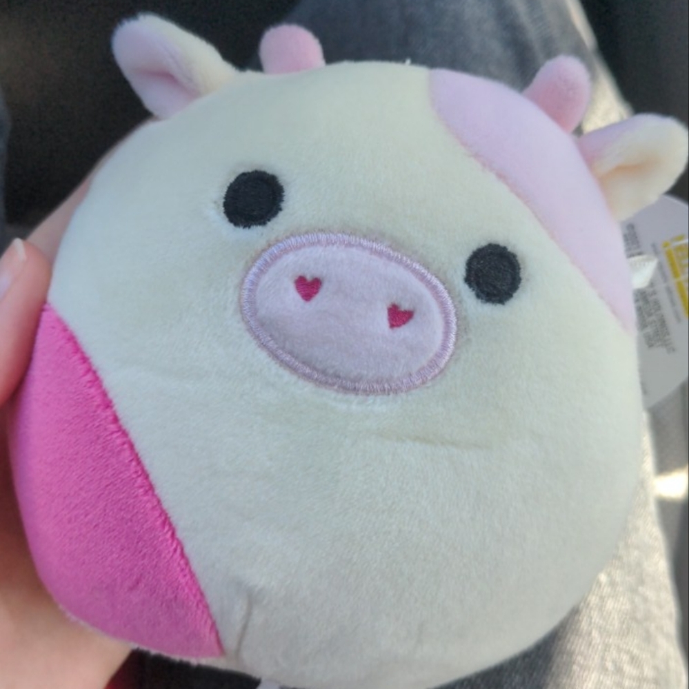 BNWT Caedyn the cow squishmallow 4.5in